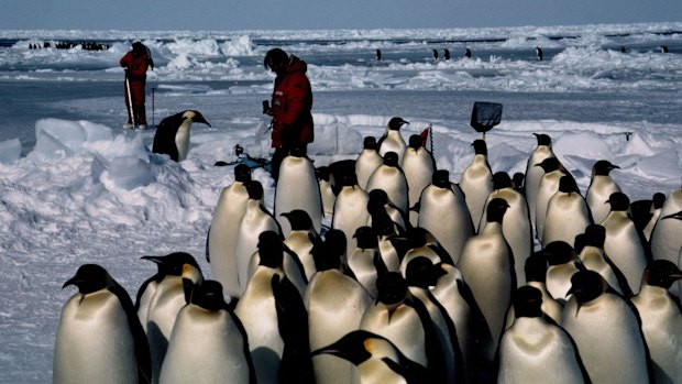 John Weiley Filming en Antarctique.