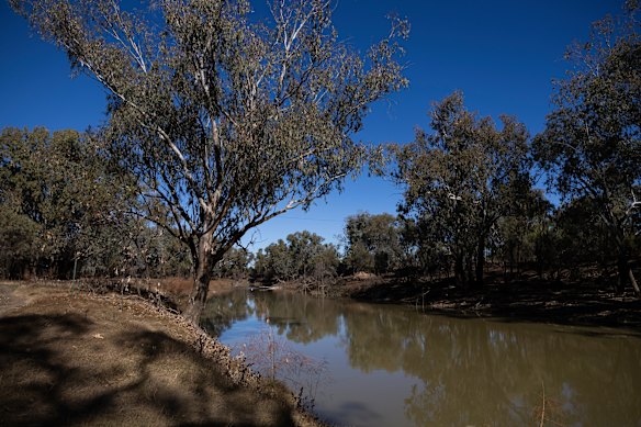 La rivière Namoi près de Walgett dans le nord-ouest de la Nouvelle-Galles du Sud.