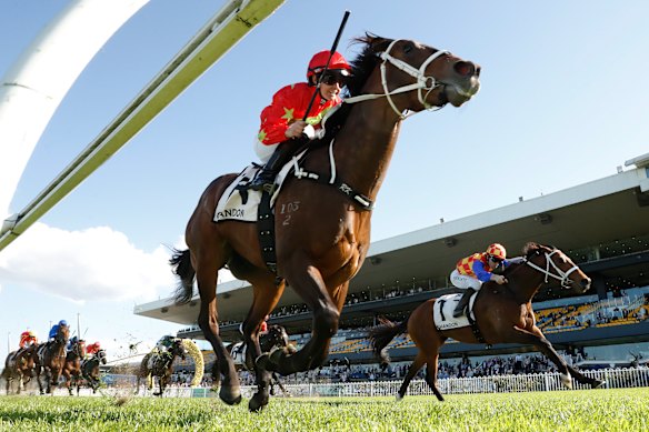Autumn Boy (à droite) se déroule du deuxième à 60 ans au dernier départ dans la dynastie Ming à Rosehill.