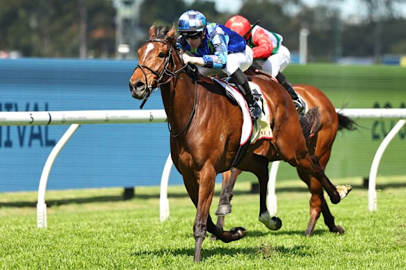 Ethan Brown Riding Juja Kibo.