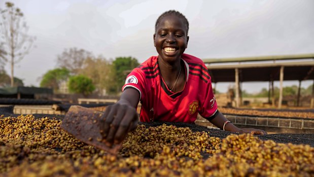 Un travailleur transforme les grains de café Excelsa pour sécher près de Nzara, Soudan du Sud pendant la récolte de cette année.