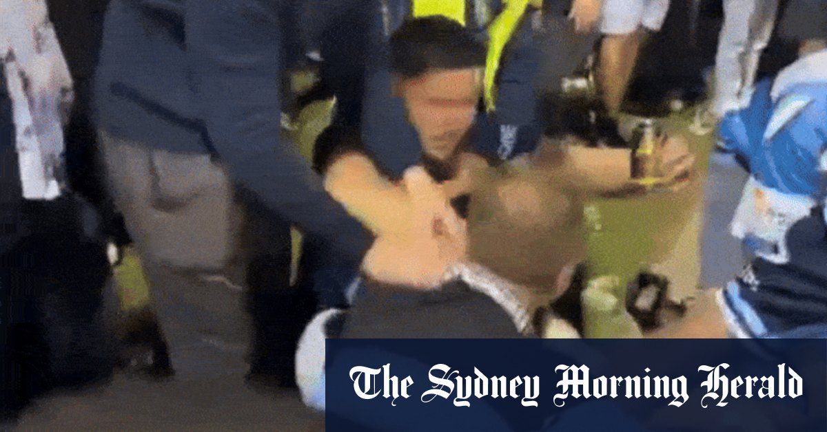 La police enquête sur la bagarre sauvage entre les coqs et les supporters des requins