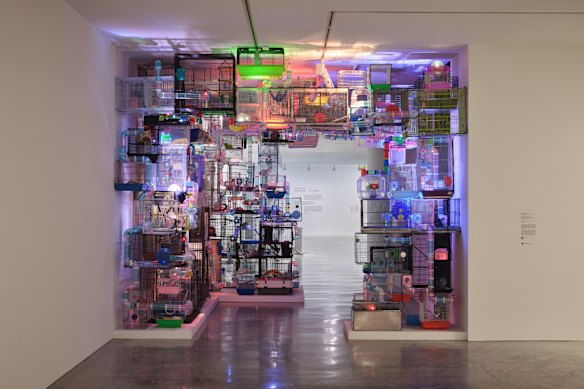 Primavera 2025: jeunes artistes australiens au Museum of Contemporary Art Australia.