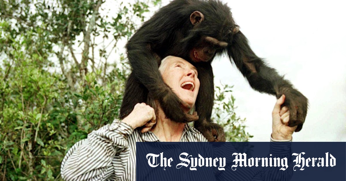 Jane Goodall meurt à 91