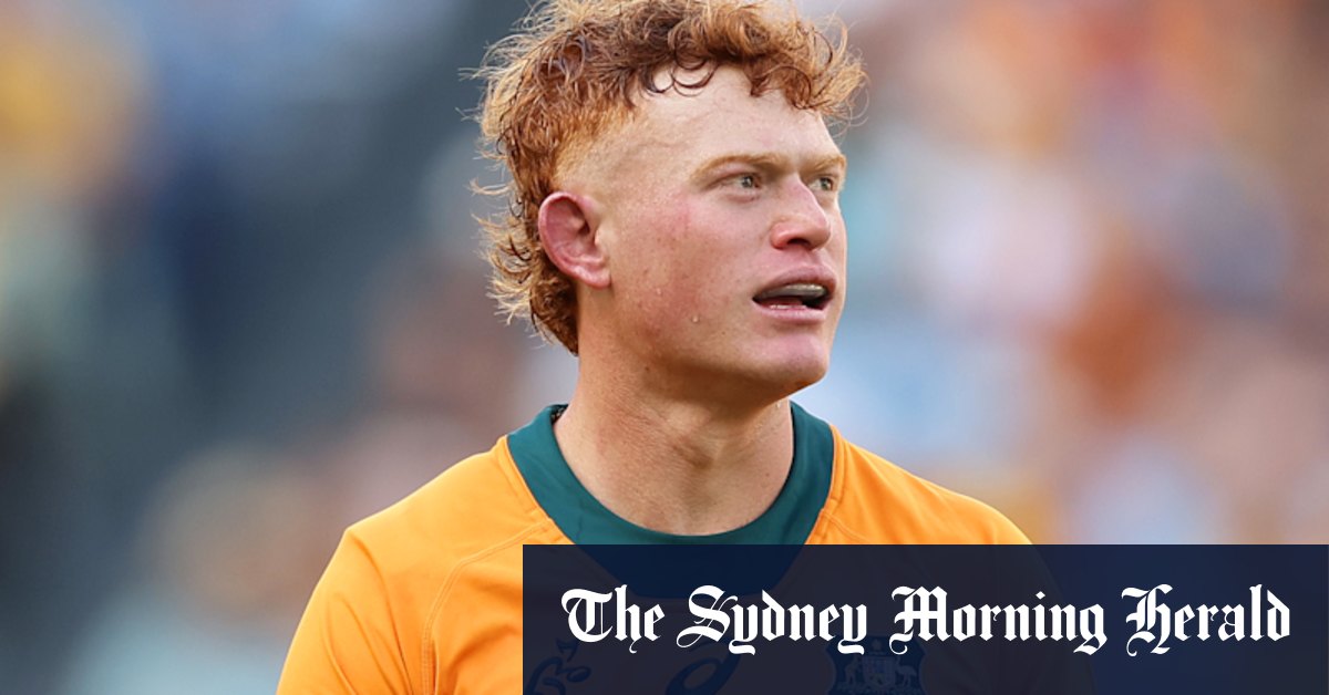 L'entraîneur de Wallabies, Joe Schmidt, a des doutes sur la viabilité de la compétition rebelle