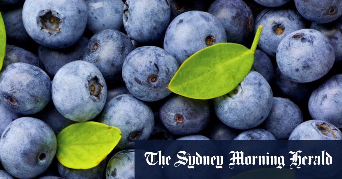 Les Australiens mangent plus de bleuets que jamais. Les consommateurs méritent une meilleure protection