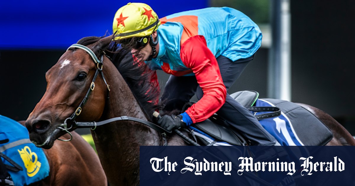 La performance de Hong Kong Superstar reçoit la «marque de passe» de Jockey Zac Purton