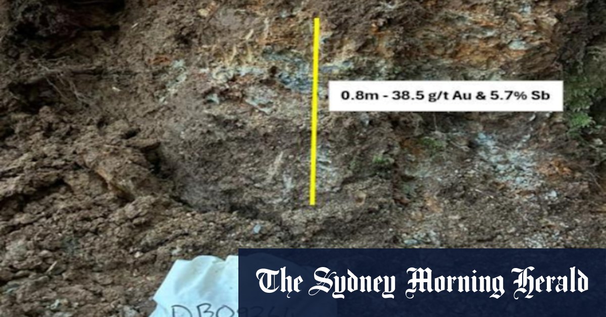 Les sols des sirènes éclairent un nouveau système d'altérophilie en Nouvelle-Zélande