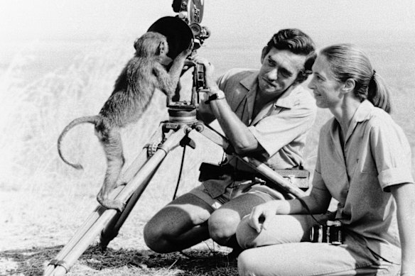 Jane Goodall avec son premier mari Hugo van Lawick, un appareil photo et un ami en 1974.