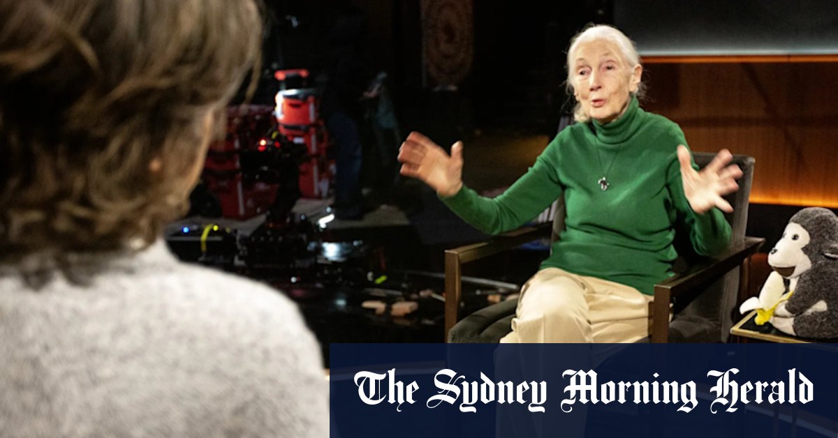 Comment la mort de Jane Goodall a donné naissance à la nouvelle série de Netflix