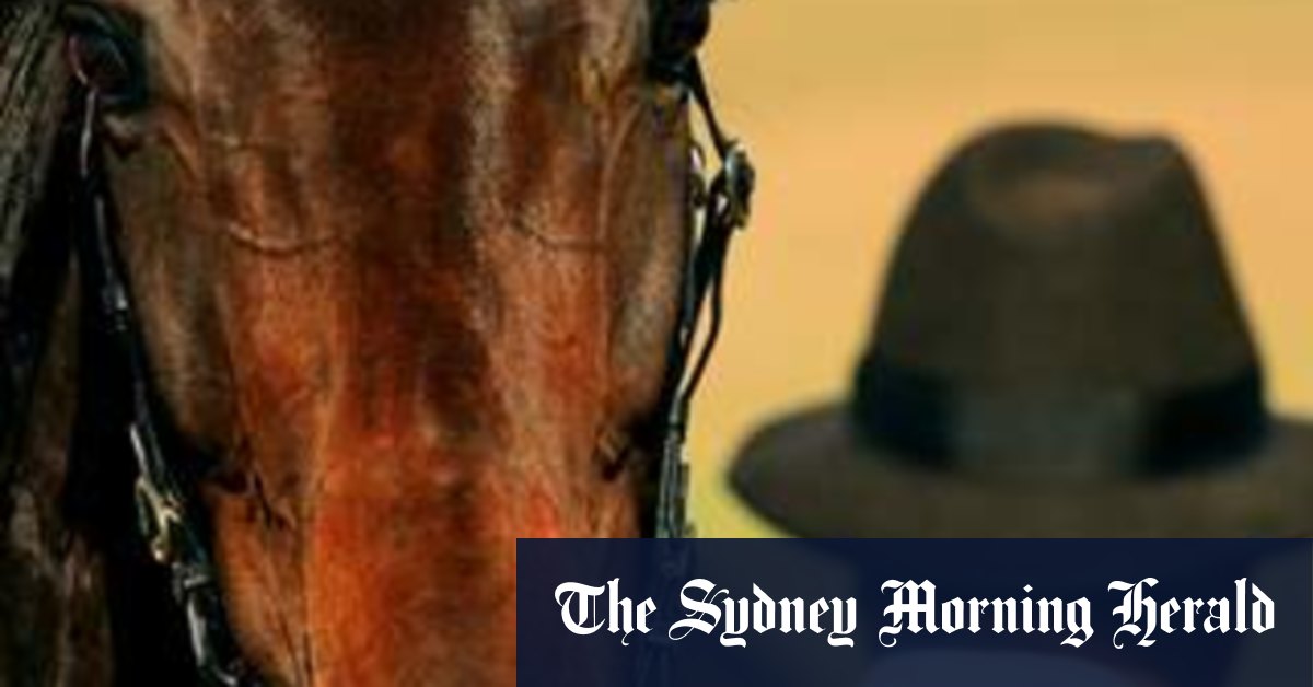 Conseils et guide course par course pour Armidale mardi