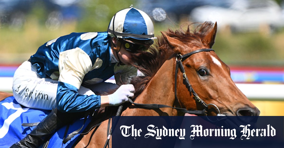 Aperçu course par course et conseils pour Randwick samedi