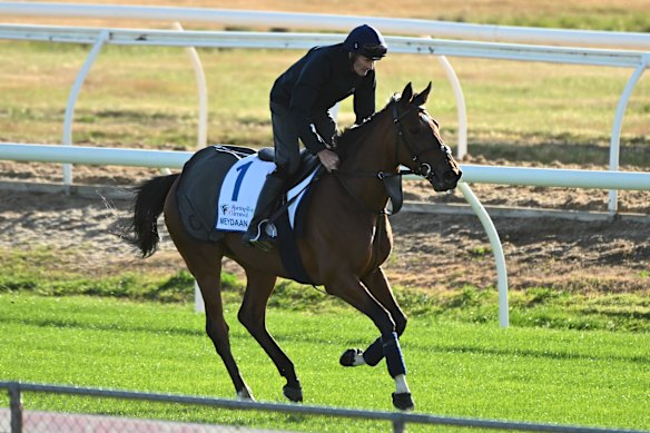 Le raider britannique Meydaan se prépare pour la Caulfield Cup à Werribee.
