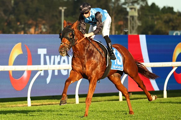 Half Yours, formé par Tony et Calvin McEvoy, remporte une course à Rosehill plus tôt cette année.