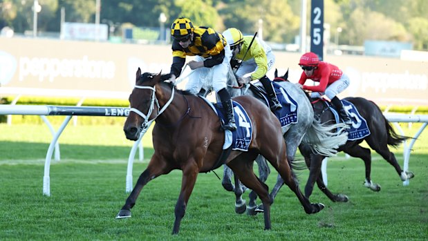 Joliestar et James McDonald se dirigent vers la victoire en short à Randwick.