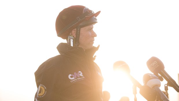 Le jockey Kerrin McEvoy montera Jedibeel samedi.