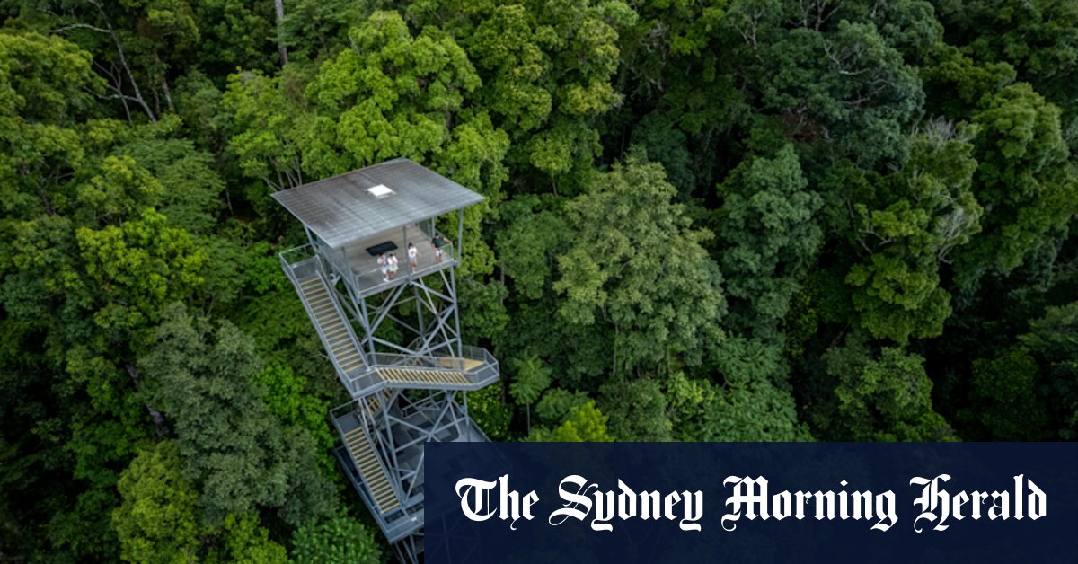 Les tropiques humides de l'Australie, dans les forêts tropicales de l'extrême nord du Queensland, n'absorbent plus le carbone