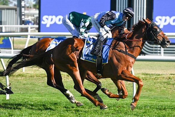 Half Yours rentre chez lui en trombe pour remporter la Coupe Caulfield.