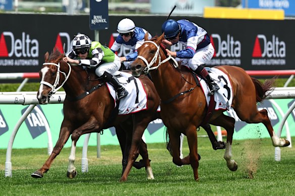 Zac Lloyd ramène Travolta à la maison pour remporter les St Leger Stakes.