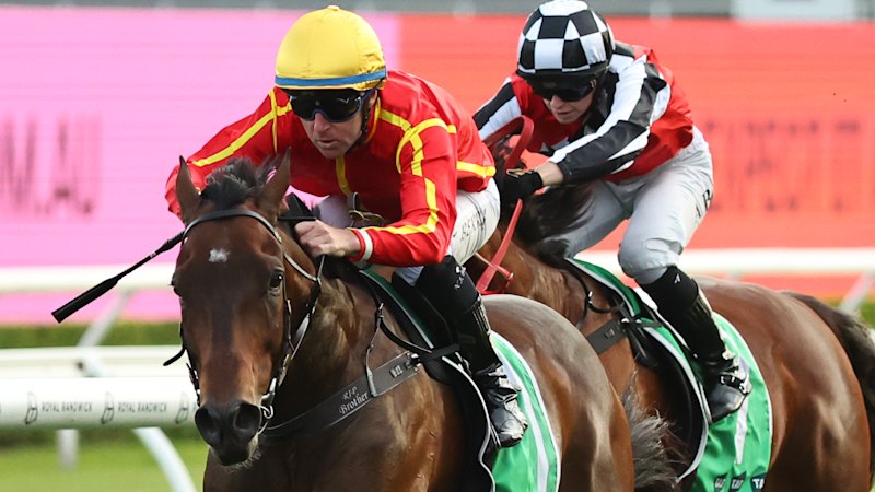 L'entraîneur du Queensland, Tony Gollan, envisage le braquage de Five Diamonds avec Transatlantic pour jeter la plate-forme pour davantage de richesses à Sydney