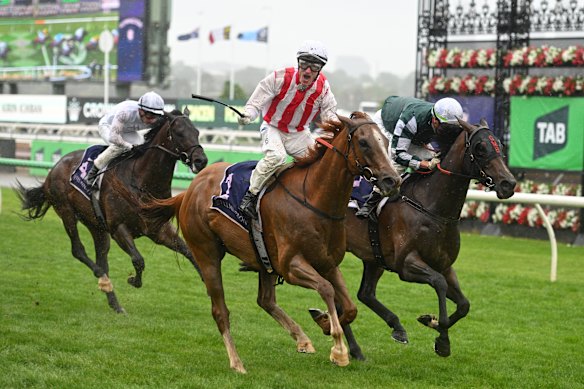 Mark Zahra à bord du Giga Kick remporte le Champions Sprint.