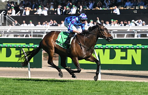 Pride Of Jenni gagne à Flemington le Derby Day, mais est décevant sept jours plus tard lors du Champions Day.