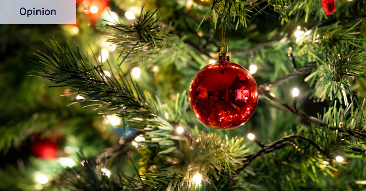 Vrai sapin de Noël : je te mettrais à la poubelle verte