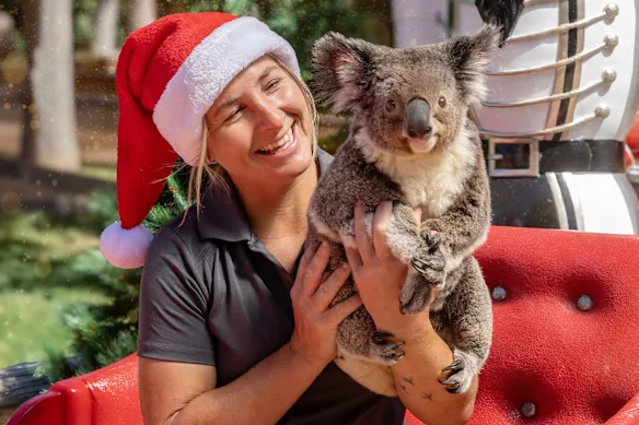 Spectaculaire de Noël au zoo de Sydney.