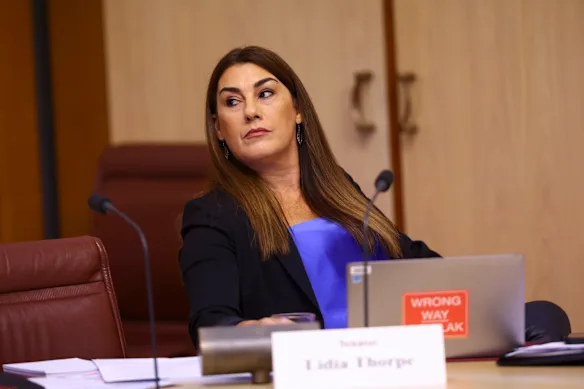 Lidia Thorpe dit qu'elle n'arrive pas à suivre les commentaires racistes et sexistes qu'elle reçoit.