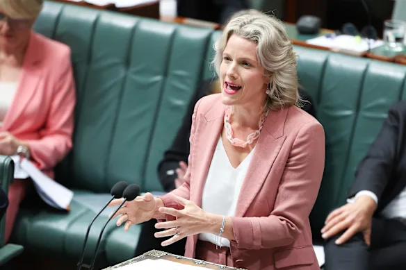 Clare O'Neil dit qu'elle ne veut pas que les jeunes femmes soient découragées de se lancer en politique.