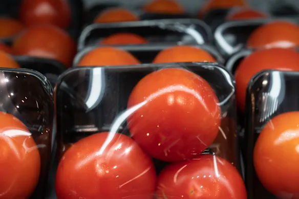 Tomates sur plateaux noirs non recyclables.