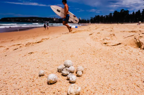 Neuf plages de Manly à North Narrabeen ont été fermées en janvier 2025 après la découverte de débris en forme de boule potentiellement dangereux.