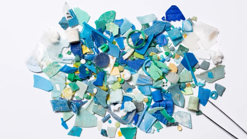 La « bombe scientifique » qui jette le doute sur les allégations concernant les microplastiques
