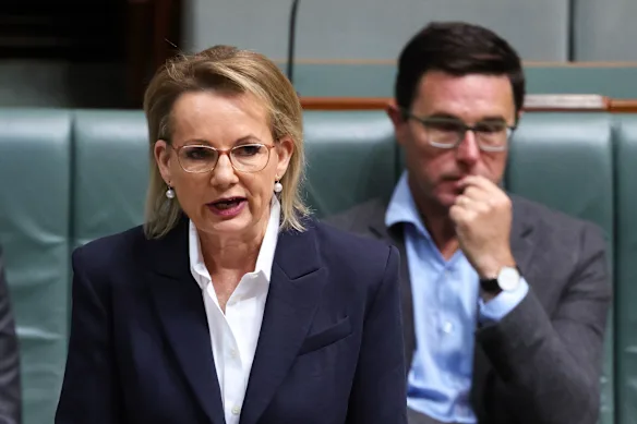 Le chef de l'opposition Sussan Ley et le chef des Nationaux David Littleproud au Parlement.