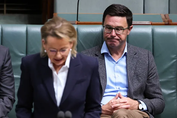 La chef de l'opposition Sussan Ley et le chef des Nationaux David Littleproud à la Chambre des représentants mercredi.
