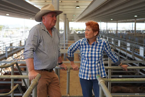 Barnaby Joyce a révélé à la fin de l'année dernière qu'il ferait défection chez One Nation.