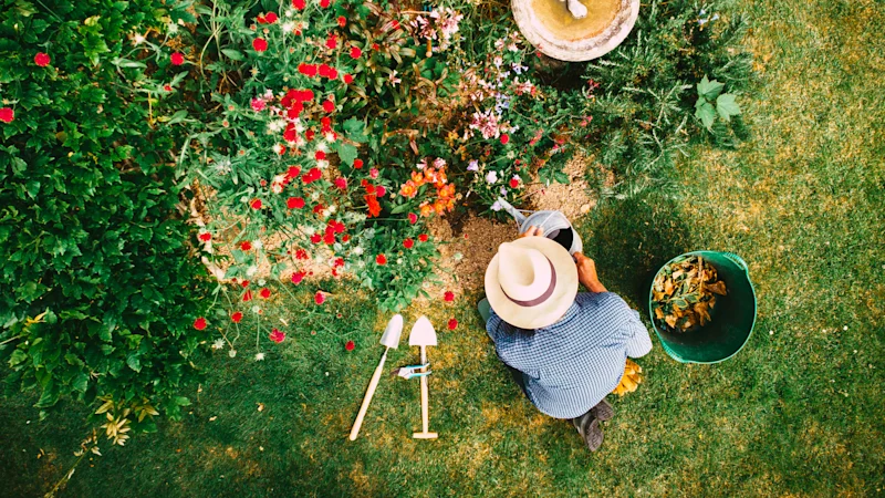 Comment redonner vie à votre jardin négligé après les vacances d'été