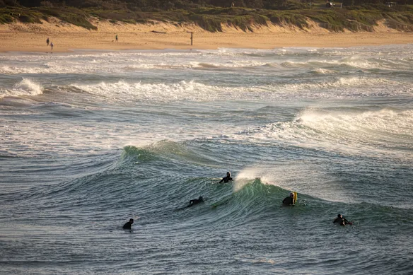 Les surfeurs reviennent à la plage de Dee Why une semaine après que Mercury Psillakis ait été tué par un requin alors qu'il surfait avec des amis. 