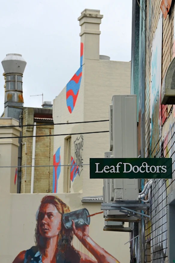 Panneau « Leaf Doctor » à l'arrière du dispensaire True Green Health situé sur King Street à Newtown, Nouvelle-Galles du Sud.