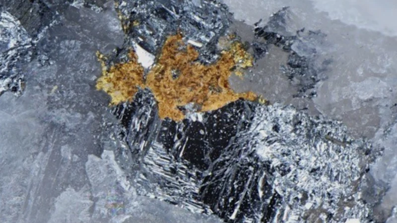 Pacgold élargit son système massif d'or et d'antimoine dans le Queensland