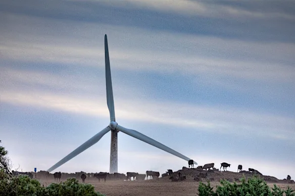 Les énergies renouvelables alimentent une part record du réseau selon les dernières données publiées par le régulateur de l’énergie.