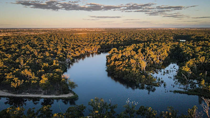 Guerres pour l'eau à venir : le plus long fleuve d'Australie est officiellement en danger critique d'extinction