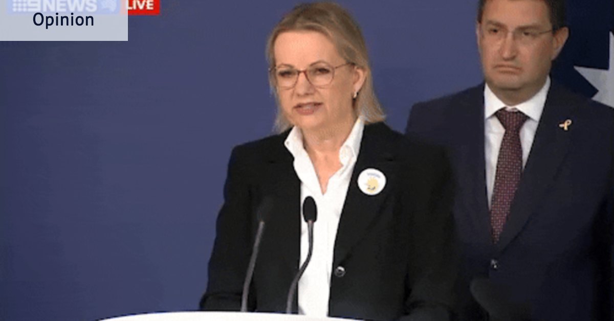 Sussan Ley et ses collègues ont été « imprudents » d'accuser Albanese d'être responsable des attaques de Bondi