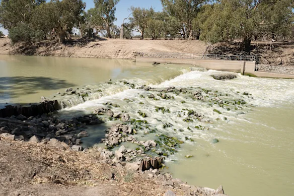 Le tronçon principal de la rivière Baaka-Darling au déversoir 32, en aval du lac Menindee. 