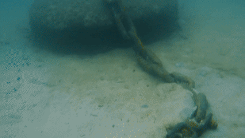 De nouveaux luminaires respectueux de l’environnement permettent aux herbiers marins de prospérer