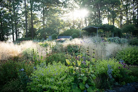 Le jardin à la française de Bristow au jardin botanique des Blue Mountains du mont Tomah est composé principalement de plantes vivaces