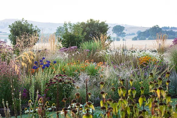 Le jardin Barwite de Bristow dans les contreforts des Alpes victoriennes