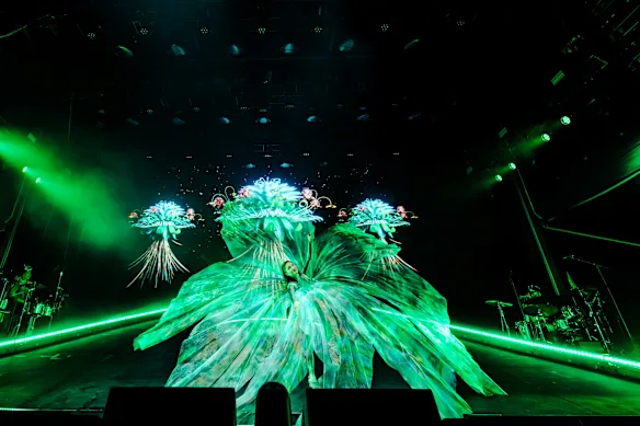 Le duo Basement Jaxx a été rejoint par des invités sur scène pour un spectacle épique.
