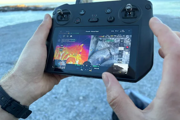 La nouvelle technologie des drones aide les chercheurs à sauver les otaries des enchevêtrements.