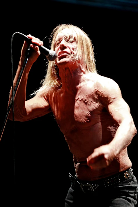 Iggy & The Stooges se produisent en 2013 au Bluesfest.